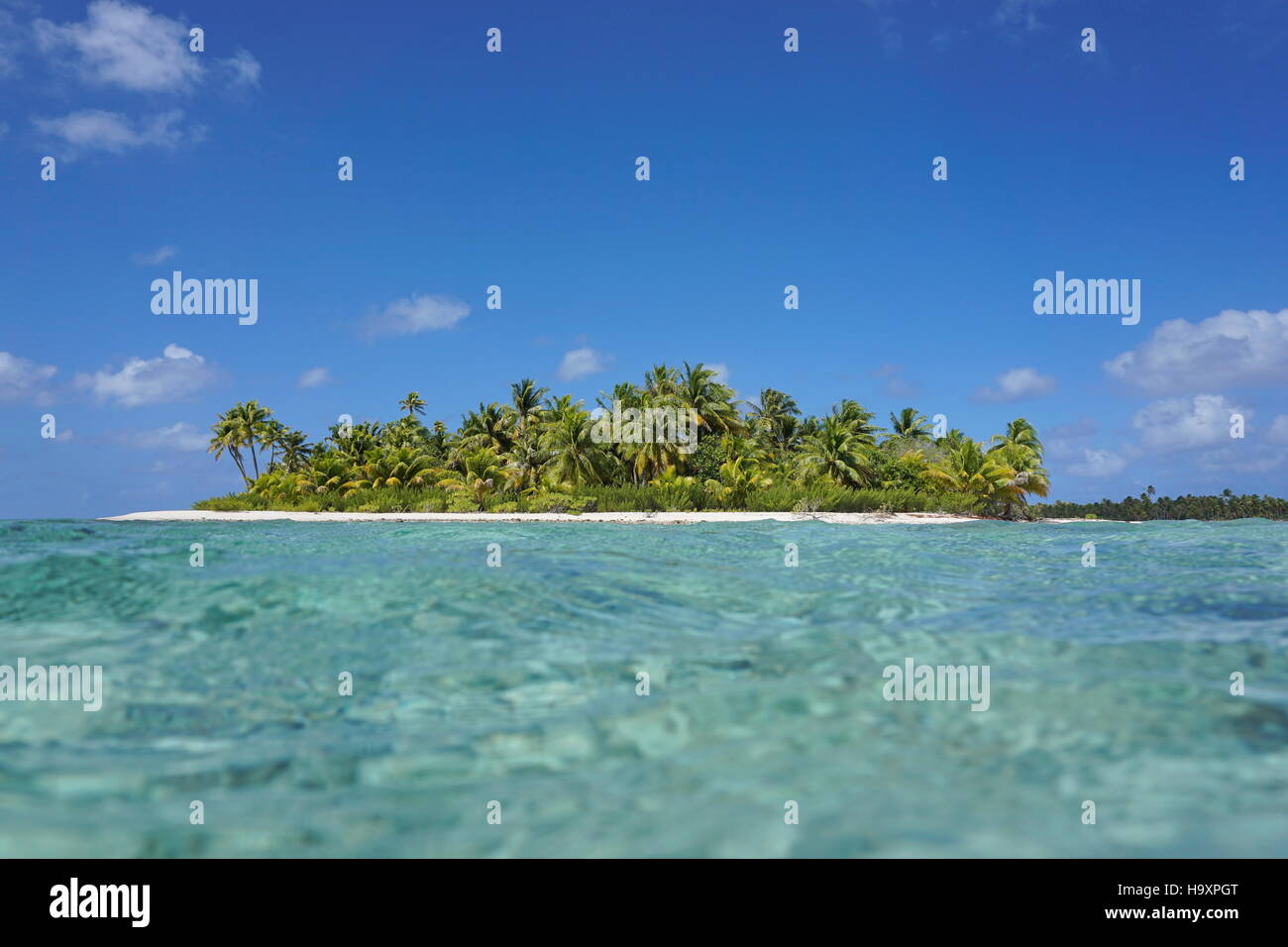 Une île tropicale, l'eau turquoise vu de la surface de la mer dans le lagon, atoll de Tikehau, Tuamotu en polynésie francaise Banque D'Images