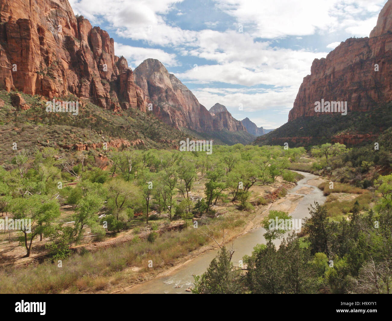 Zionnps 10311157326 Kayenta Trail Banque D'Images