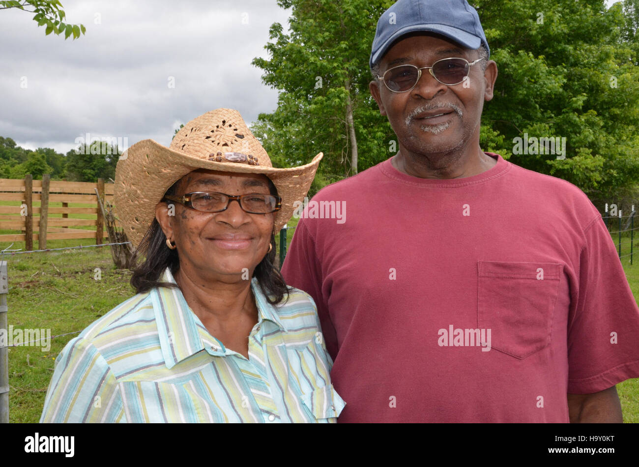 La recherche de l'USDA sur les champignons de la pourriture brune, une menace importante pour les cultures agricoles, se concentre sur la prévention des dommages aux cultures et l'amélioration de la durabilité agricole. Banque D'Images