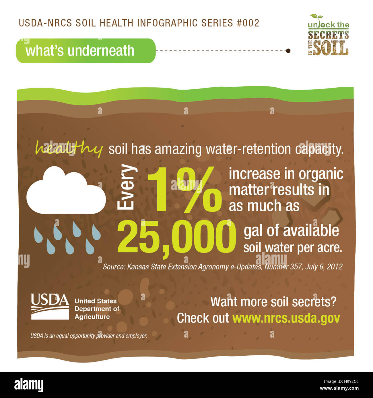 Cette infographie fournit un aperçu de la santé des sols, soulignant l'importance de la conservation des sols et des pratiques agricoles durables pour le maintien d'écosystèmes et de systèmes de production alimentaire sains. Banque D'Images