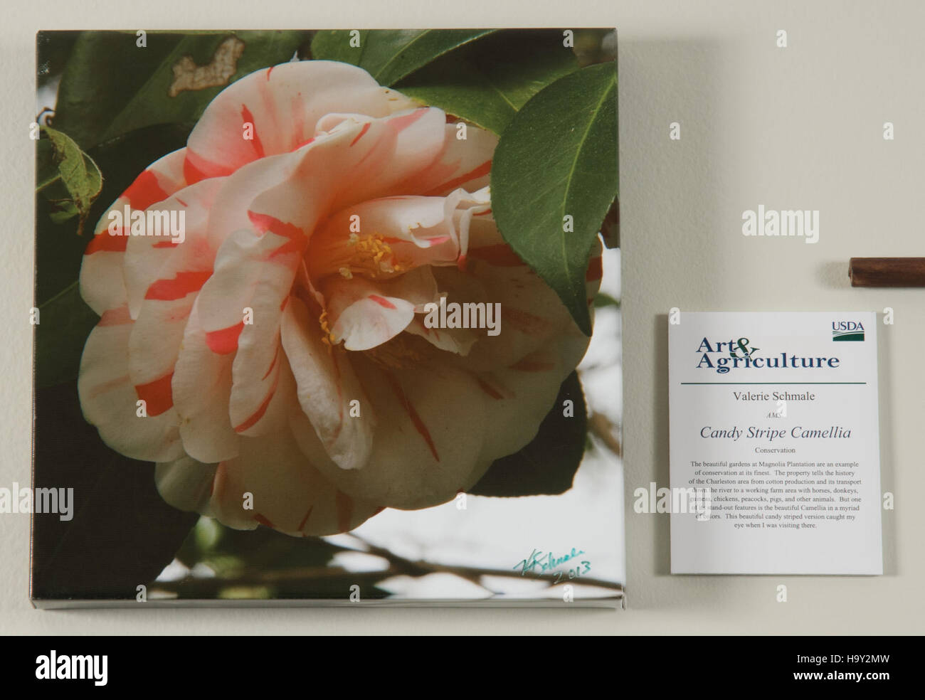 Cet événement de l'USDA à Washington D.C. a présenté une exposition d'art axée sur l'agriculture, soulignant l'importance de la représentation visuelle dans la promotion de la sensibilisation aux questions agricoles et environnementales. Banque D'Images