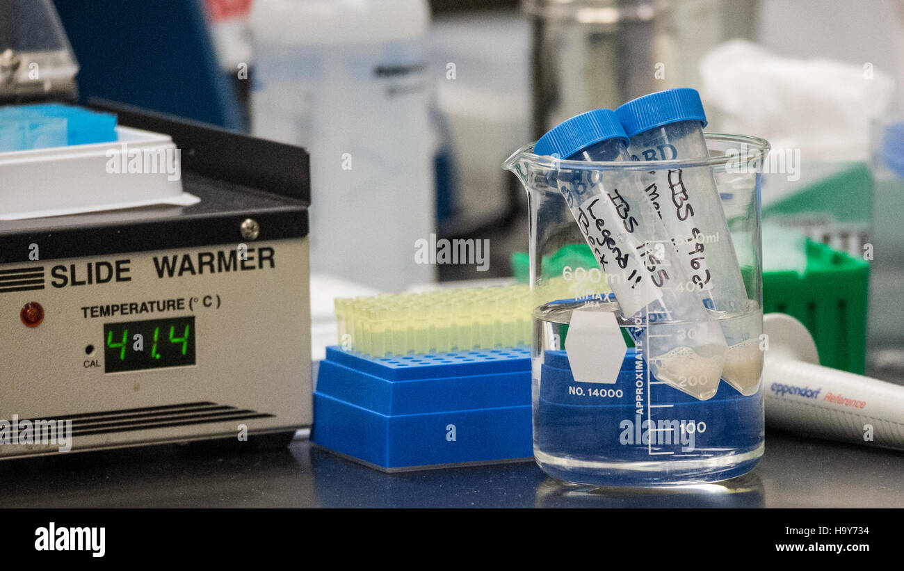 Cette image montre le secrétaire de l'USDA Vilsack au National Center for Genetic Resources Preservation à Fort Collins, Colorado. Le centre est dédié à la préservation des ressources génétiques, y compris le germoplasme animal et végétal, en utilisant des technologies de pointe comme les réservoirs cryogéniques et la vapeur d'azote. Banque D'Images