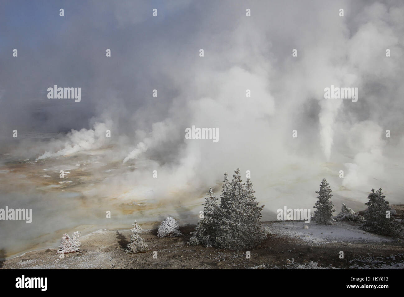Le bassin de porcelaine dans le parc national de Yellowstone est une zone géothermique connue pour ses évents de vapeur, ses fumeroles et ses sources chaudes. Le paysage torride du bassin est particulièrement spectaculaire en hiver lorsque la neige contraste avec les eaux fumantes. Banque D'Images