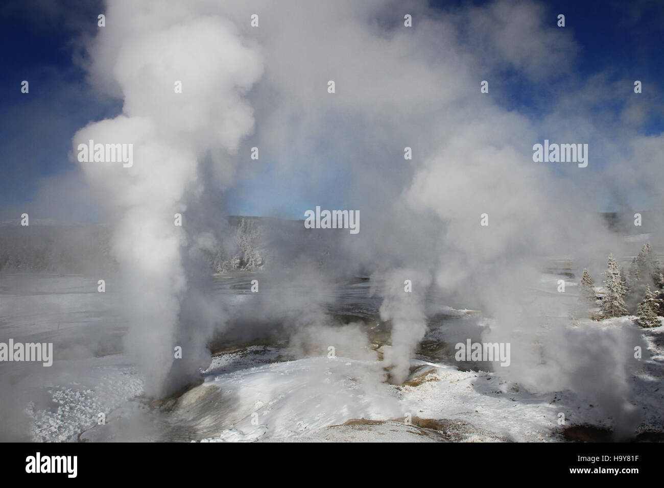 Porcelain Basin dans le Norris Geyser Basin de Yellowstone est une zone géothermique avec des sources chaudes et des geysers actifs. La vapeur qui s'élève du bassin démontre l'environnement géothermique dynamique du parc. Banque D'Images