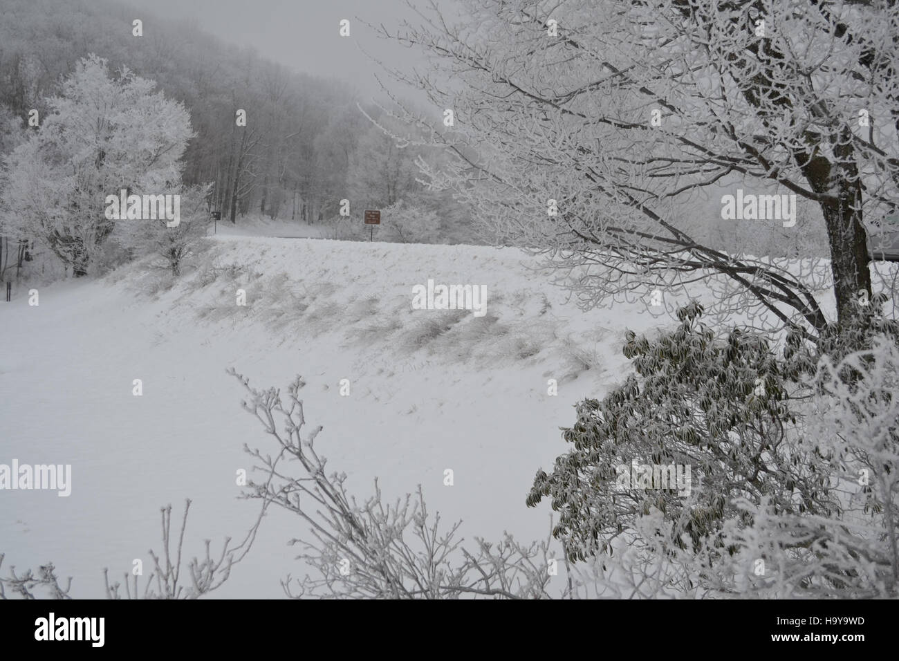 130571706@N07 16622130066 Scène d'hiver le long de la Blue Ridge Parkway Tye River Gap MP27 Banque D'Images