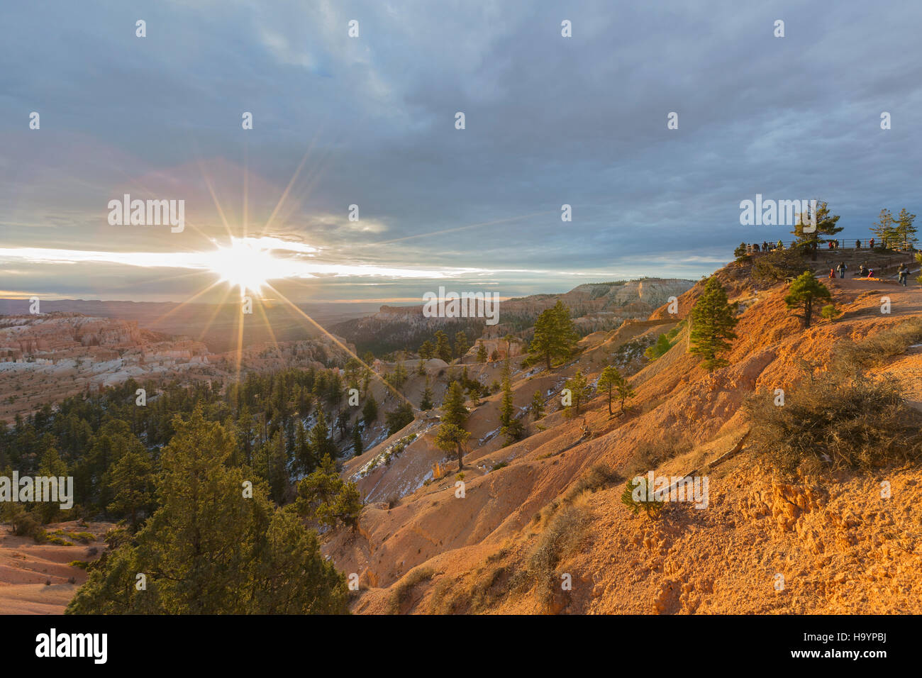 Point de vue du lever au Parc National de Bryce Canyon dans l'Utah du sud. Banque D'Images