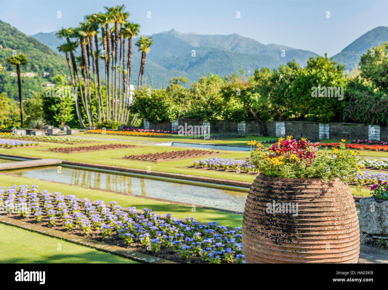 Jardin de la Villa Taranto au Lago Maggiore, Pallanza, Piemont, Italie Banque D'Images