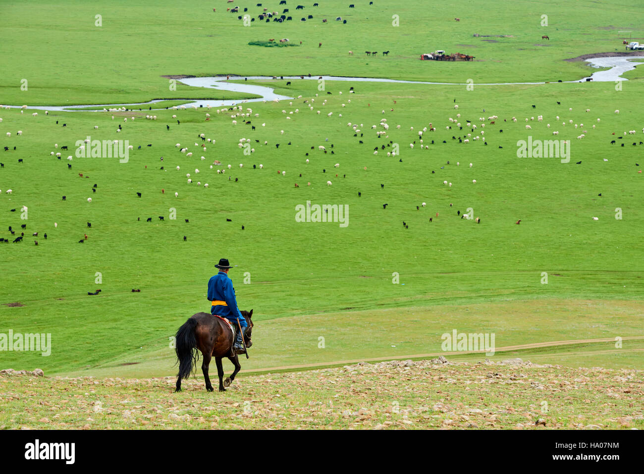 La Mongolie, province Arkhangai, camp nomade yourte dans la steppe mongole, cavalier Banque D'Images