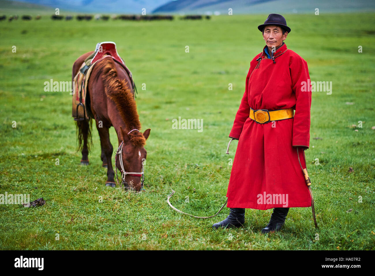 La Mongolie, province Arkhangai, cavalier dans la steppe mongole Banque D'Images