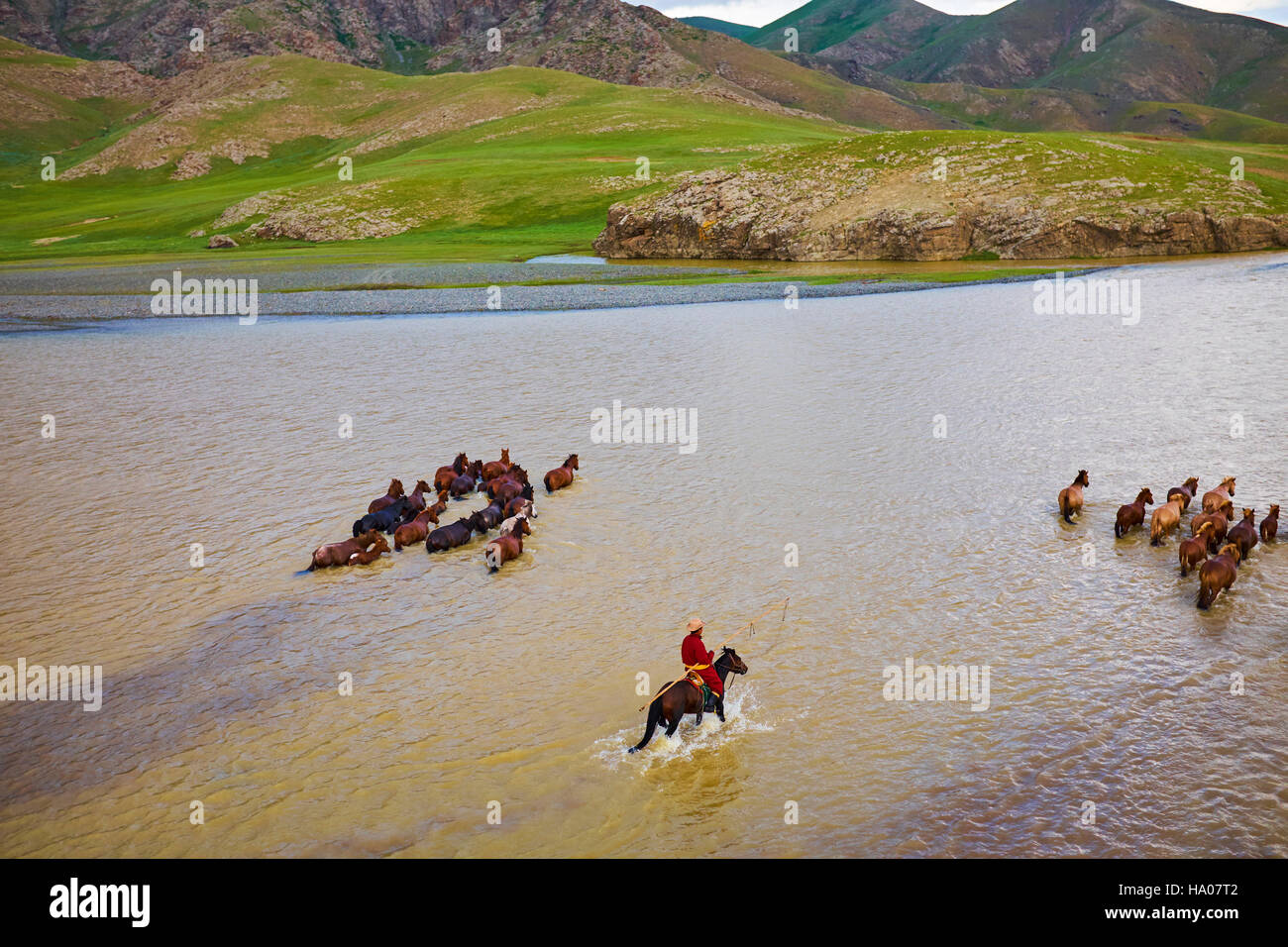 La Mongolie, province Övörkhangaï, vallée de l'Orkhon, orhon, cavalier mongol, camp nomade avec leur troupeau de chevaux traversant la rivière Banque D'Images