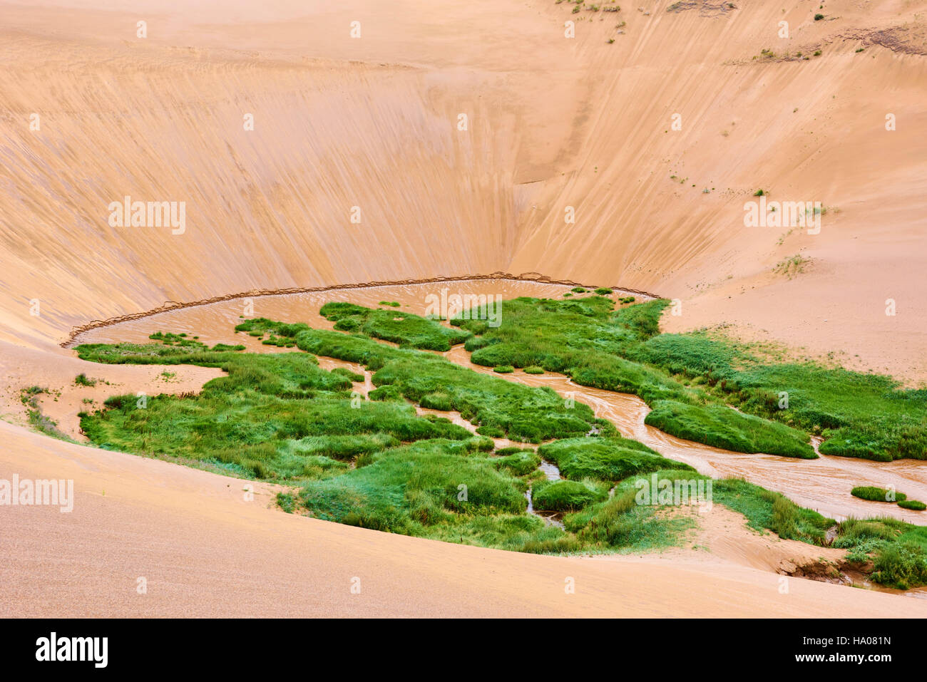 La Mongolie, province Zavkhan déserte, paysage de dunes de sable dans la steppe Banque D'Images