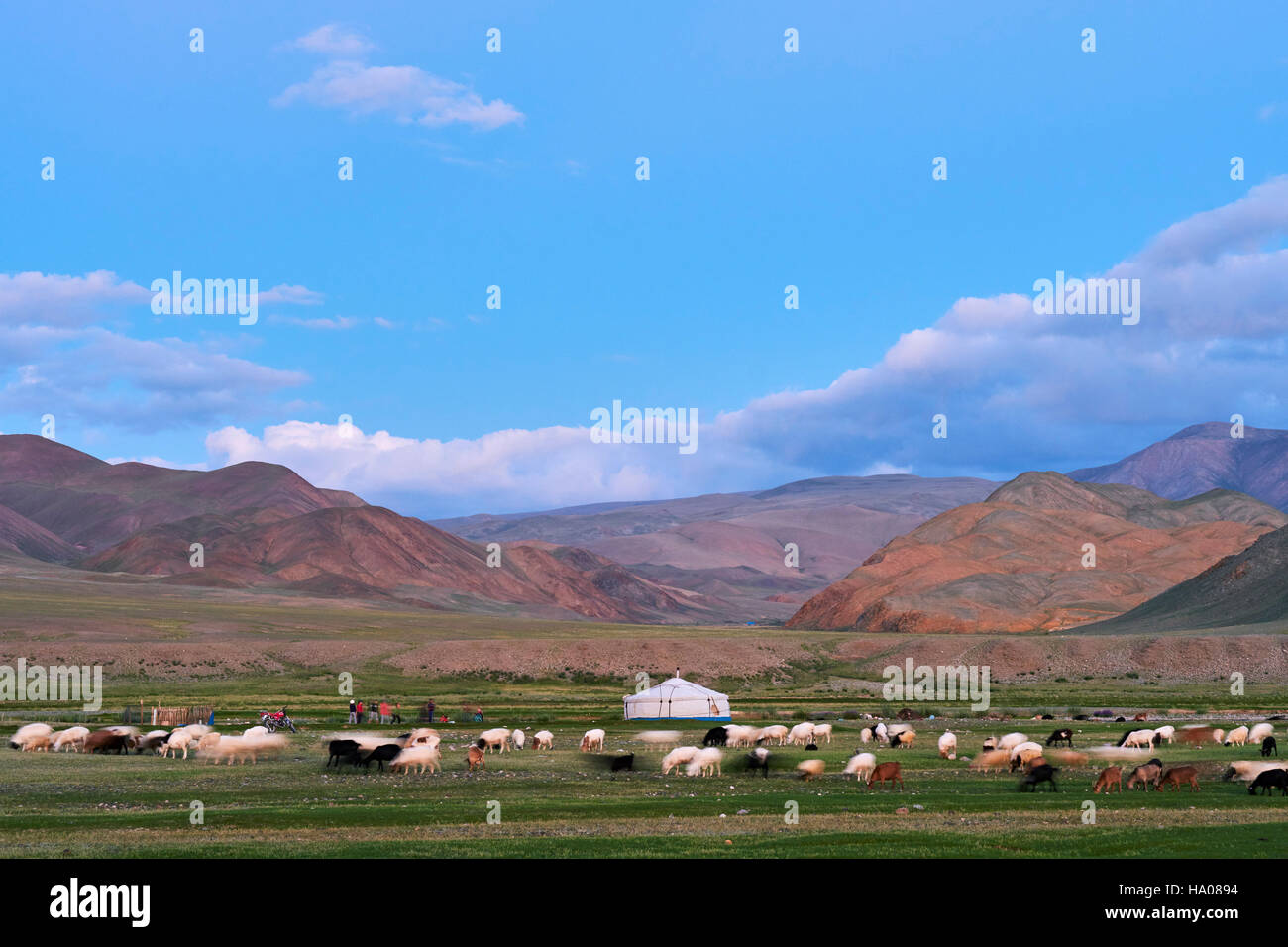 La Mongolie, Bayan-Ulgii province, l'ouest de la Mongolie, les montagnes colorées de l'Altay, camp nomade du peuple kazakh Banque D'Images