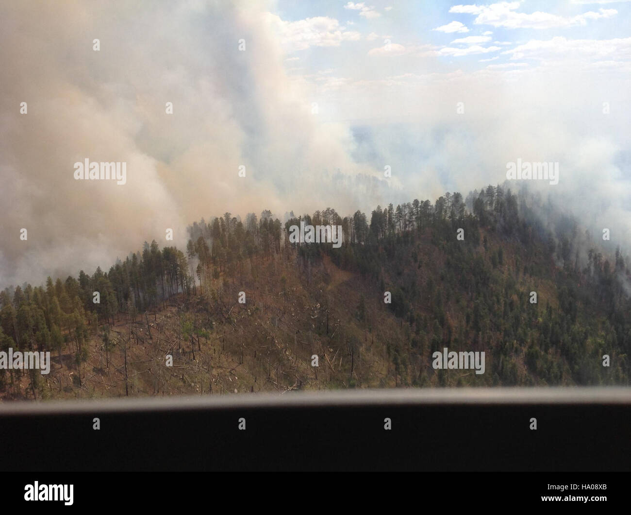 Cette image représente des pompiers qui luttent contre un feu de forêt, soulignant les défis de la gestion des feux de forêt. La scène montre du personnel travaillant à contenir l'incendie, ce qui est essentiel pour prévenir les dommages environnementaux à grande échelle. L'image illustre la tension des efforts de lutte contre les incendies dans les paysages naturels, soulignant le rôle des pompiers dans la préservation des écosystèmes. Banque D'Images