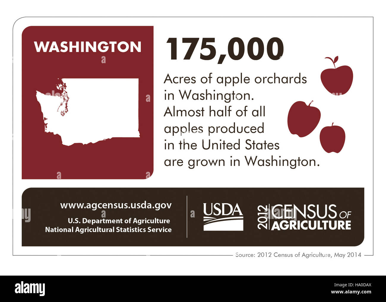 Infographie illustrant les principales données de recensement de l'État de Washington, mettant en évidence les tendances démographiques et les développements régionaux qui éclairent les politiques agricoles et environnementales. Banque D'Images