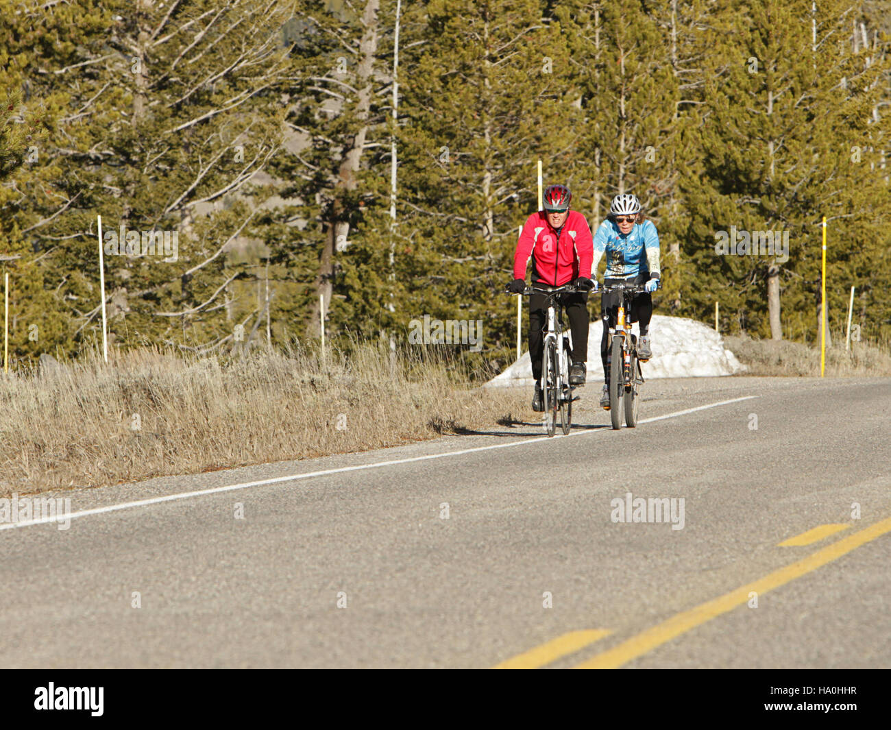 Yellowstonenps 16805007987 cyclistes sur route d'entrée ouest Banque D'Images