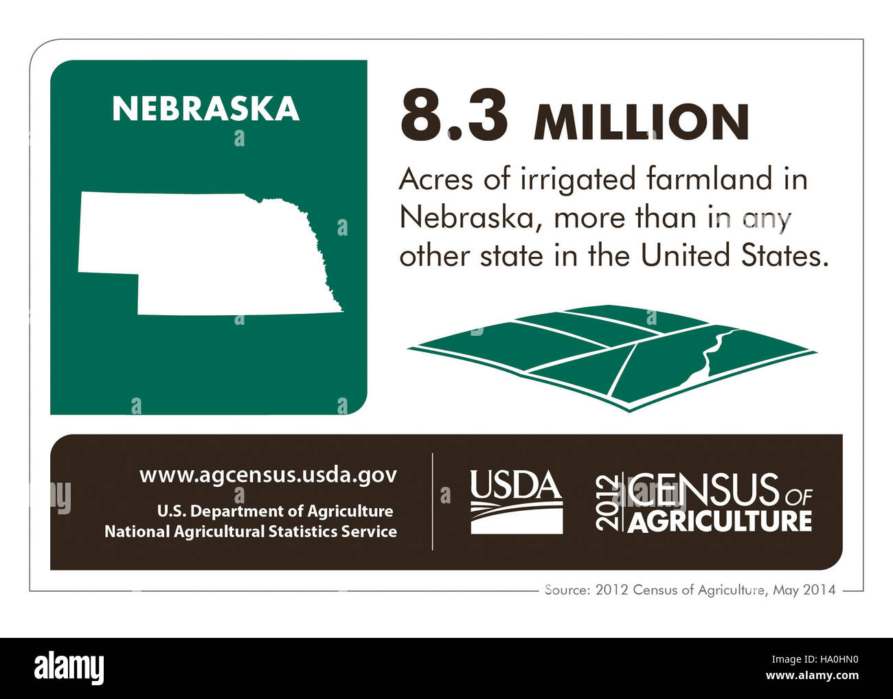 Cette infographie illustre les principales statistiques agricoles pour le Nebraska, mettant en évidence les principales cultures, les pratiques agricoles et l'impact économique de l'État. Il souligne le rôle du Nebraska en tant que chef de file de l’agriculture américaine. Banque D'Images