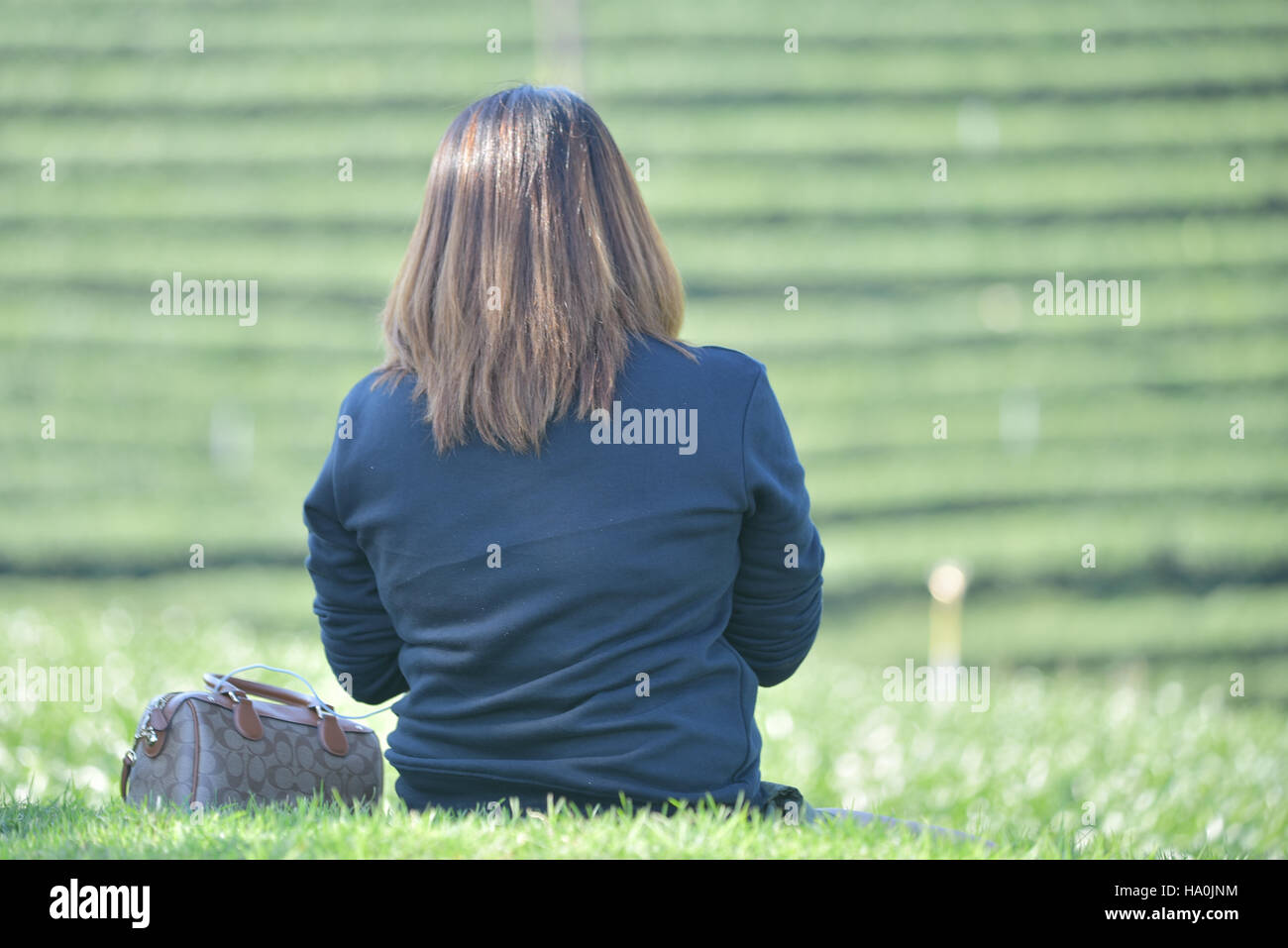Madame asiatique sur chemise bleue s'asseoir sur l'herbe verte avec un sac à main à côté d'elle. Banque D'Images