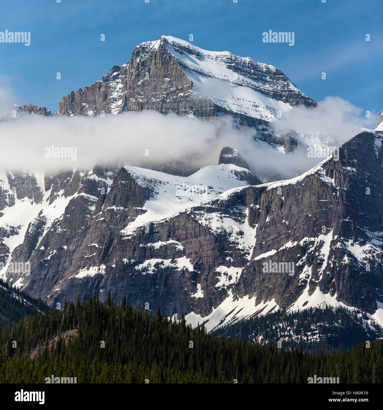 Glaciernps 19184018560 Mount Gould Banque D'Images