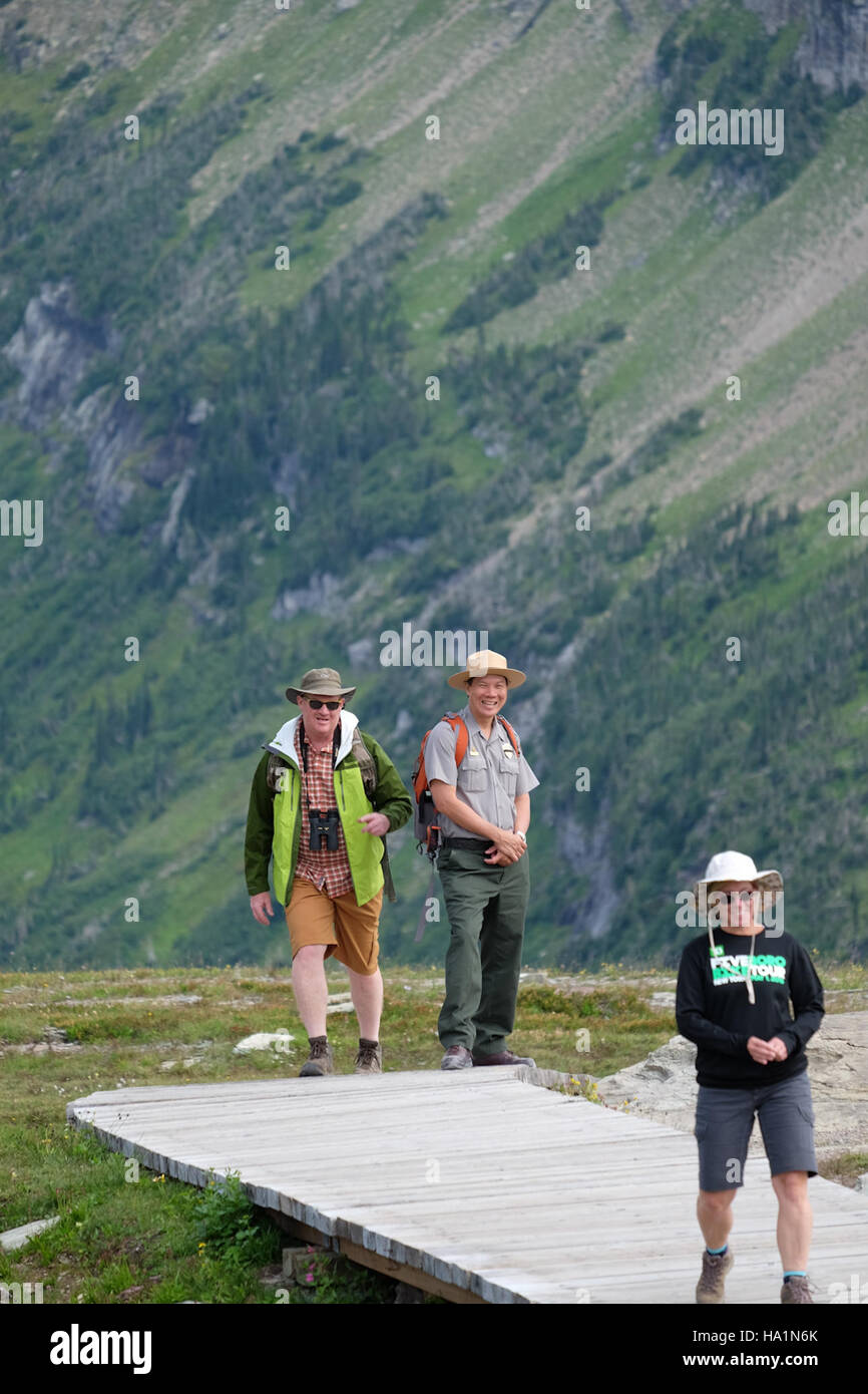 T-shirt Homme Parc National Des Glaciers - Taille L - Multicolore - État Parfait
