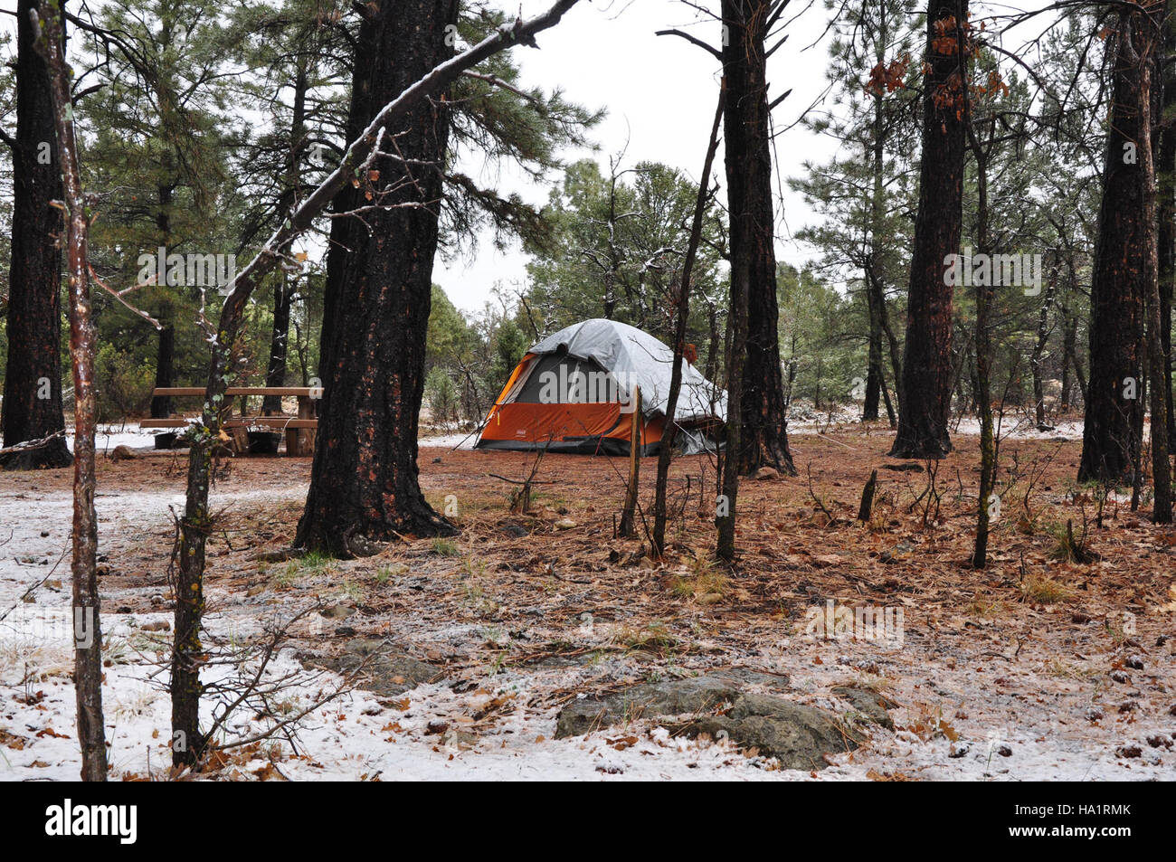 Grand canyon nps 30358941184 Le Camping d'hiver dans la région de Mather Campground, Grand Canyon National Park 0151 Banque D'Images