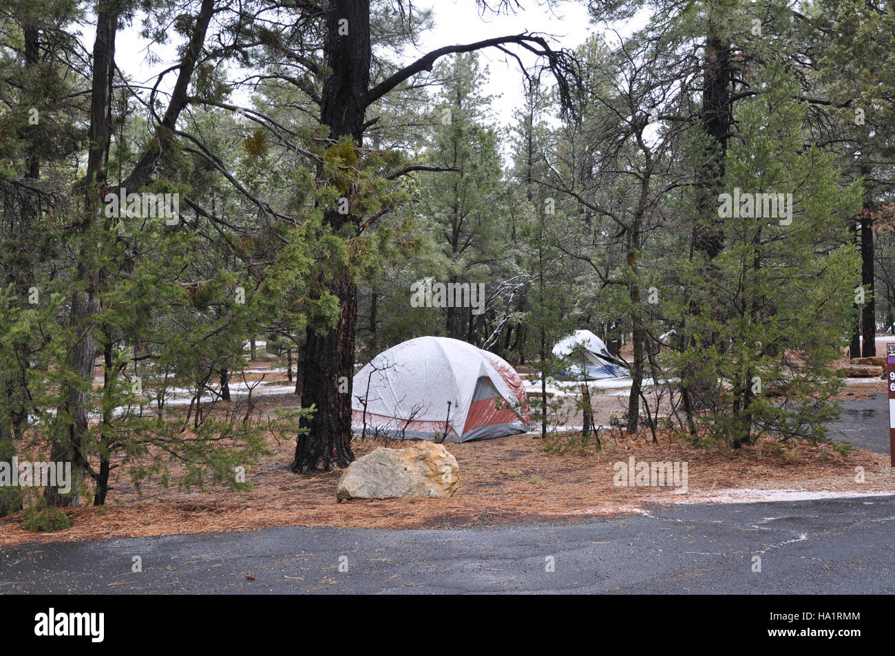 Grand canyon nps 31065776611 Le Camping d'hiver dans la région de Mather Campground, Grand Canyon National Park 0154 Banque D'Images
