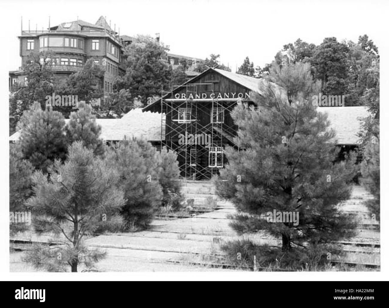 Le dépôt de chemin de fer historique du Grand Canyon, créé en 1987, est un site historique clé dans le parc national du Grand Canyon. Le dépôt fait partie du patrimoine de la région, reflétant les modes de transport historiques et le développement de l'infrastructure touristique du parc. Banque D'Images