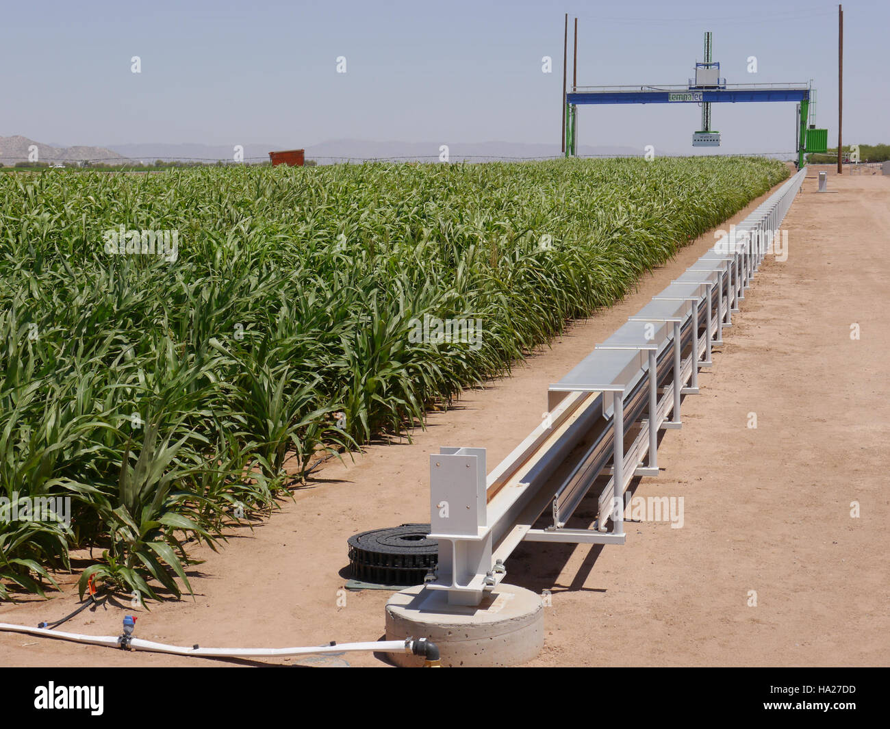 L'image montre un grand scanner électronique à Maricopa, Arizona, utilisé pour la recherche scientifique. Cette technologie fait partie d'un projet visant à étudier et à surveiller divers facteurs environnementaux dans la région, notamment la composition du sol, les conditions météorologiques et les processus agricoles. Le scanner joue un rôle dans l'avancement de la science environnementale et des pratiques de surveillance en Arizona. Banque D'Images