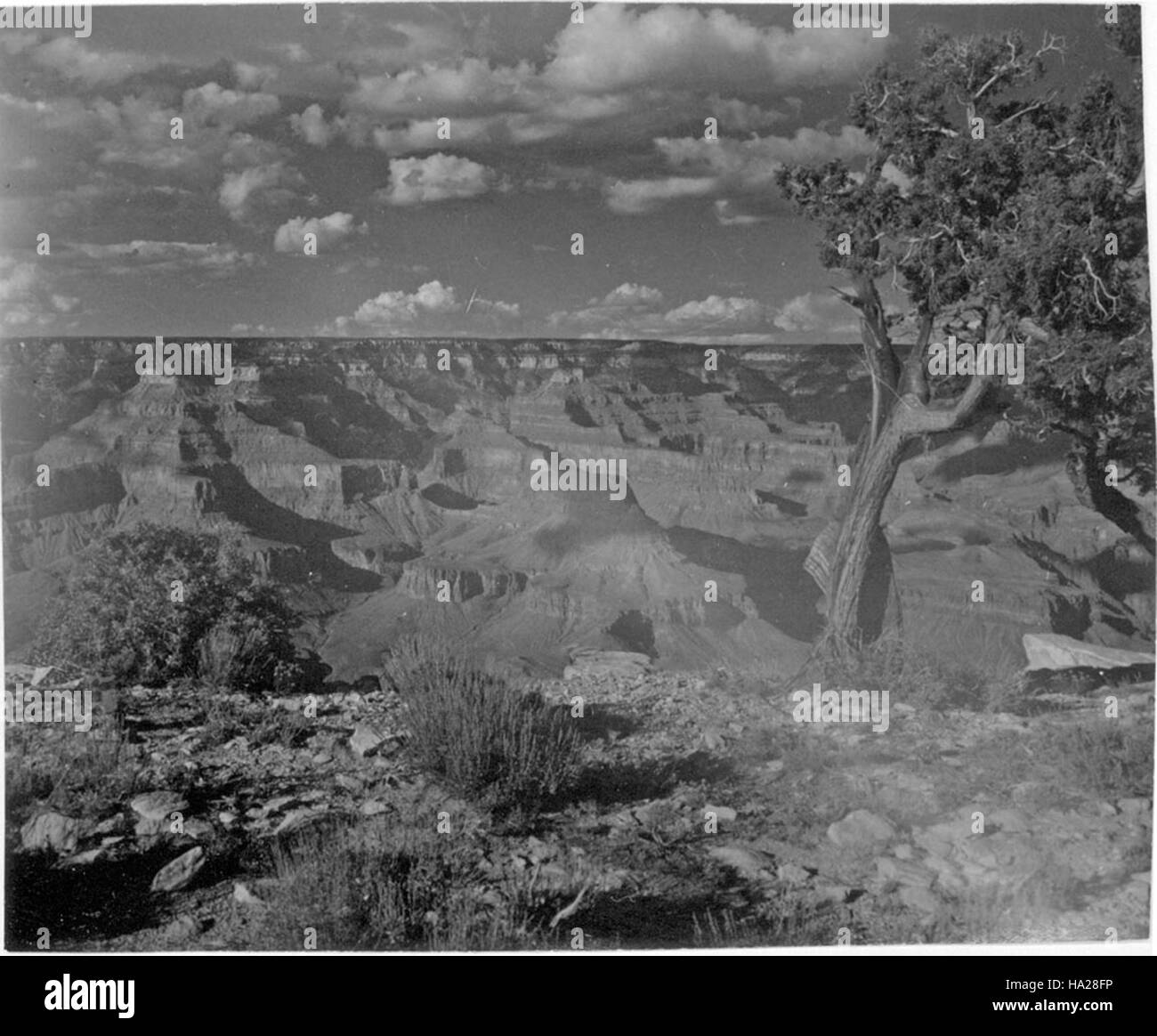 Hopi point, situé sur le plateau sud du Grand Canyon, offre une vue imprenable sur le vaste paysage du canyon. C'est un point de vue clé pour les visiteurs et un arrêt populaire pour la photographie et le tourisme. Banque D'Images