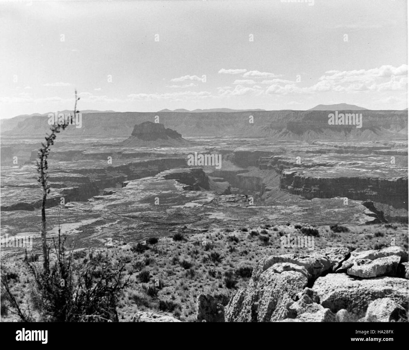Cette image montre Yumtheska point, une vue panoramique dans le parc national du Grand Canyon, avec des vues panoramiques sur le canyon. Le point est reconnu pour ses formations géologiques étonnantes et son rôle dans les efforts d'éducation touristique et environnementale du parc. Banque D'Images