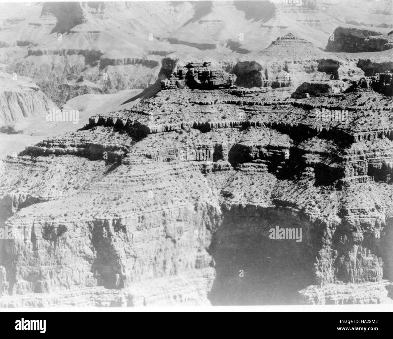 Le parc national du Grand Canyon abrite Yavapai point, réputé pour ses vues à couper le souffle sur les formations géologiques du canyon. Fossil point offre un aperçu de l'histoire ancienne et de l'importance écologique de la région. Banque D'Images
