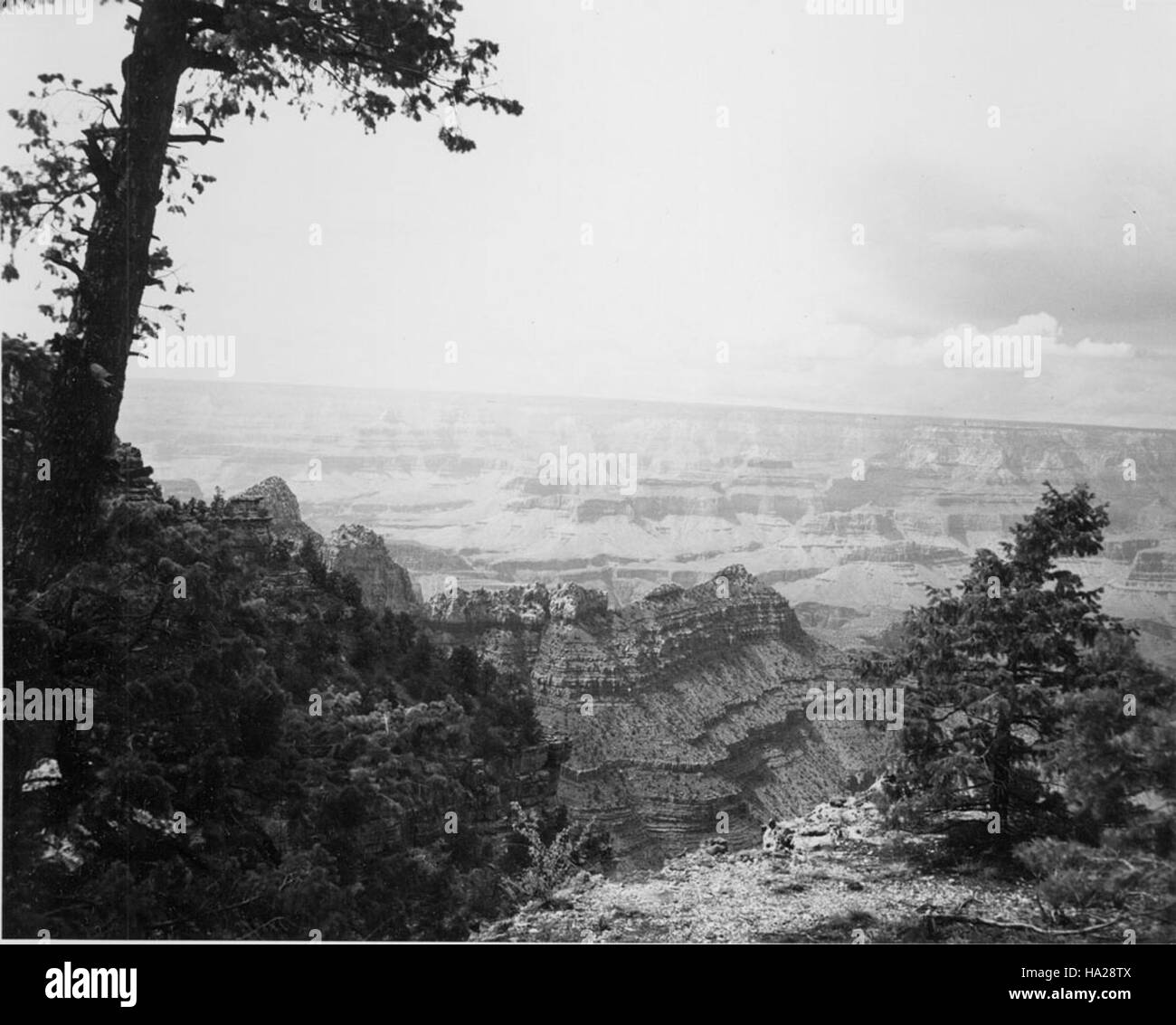 Grandview point du parc national du Grand Canyon offre une vue imprenable sur le canyon. Le plateau panoramique sud est un site populaire pour les visiteurs, offrant des vues panoramiques et des études géologiques et environnementales importantes dans cette merveille naturelle renommée. Banque D'Images