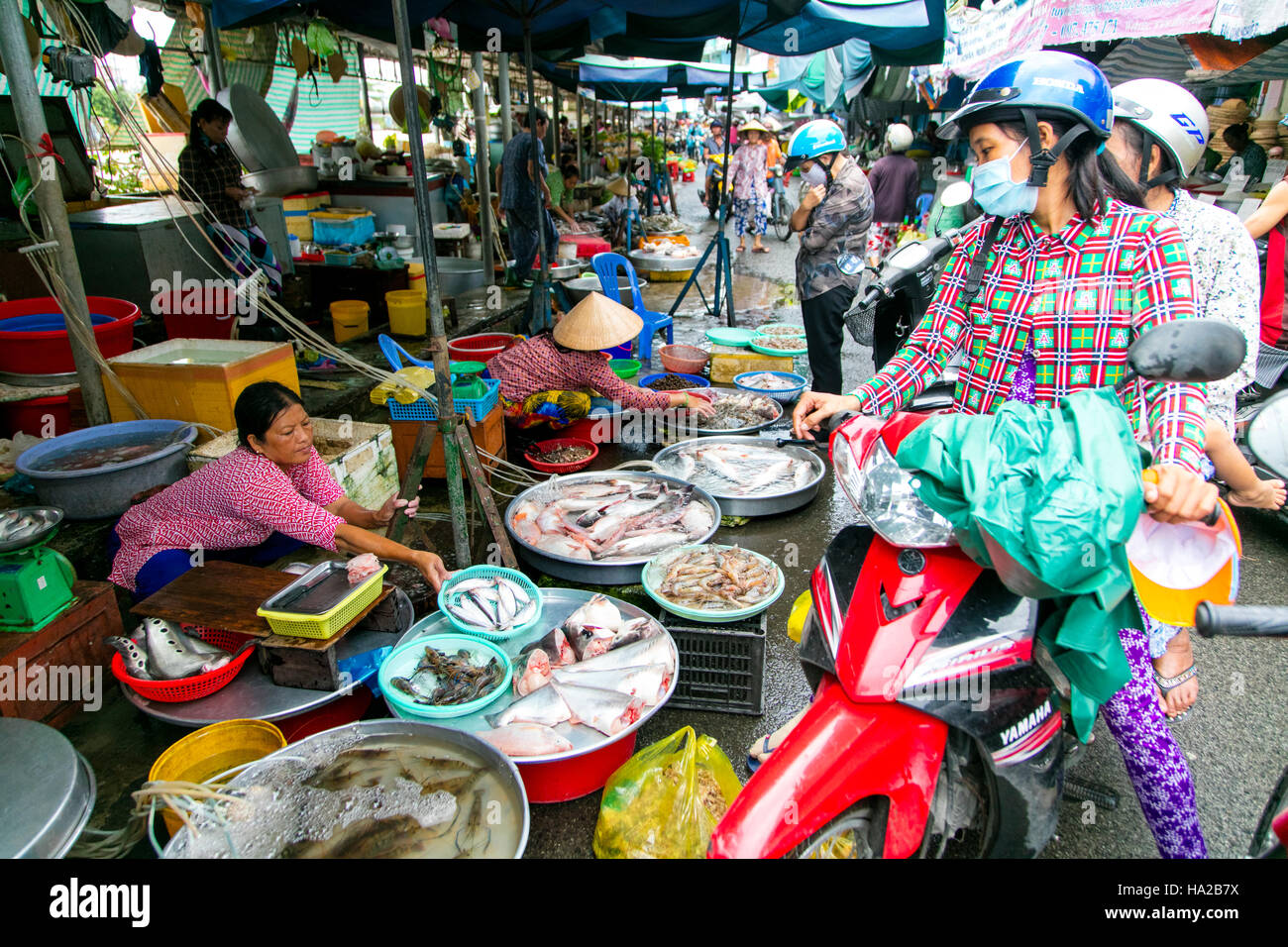 Marché, Sa Dec, Mekong, Vietnam, Asie Banque D'Images