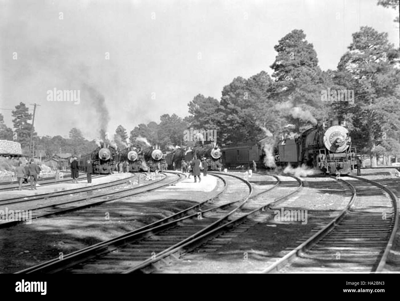 Construit en 1937, le dépôt de chemin de fer historique du Grand Canyon est une structure emblématique qui sert de porte d'entrée aux voyageurs visitant le Grand Canyon. Le dépôt demeure un élément clé de l'histoire des transports de la région, reflétant son rôle dans le développement de la région. Banque D'Images