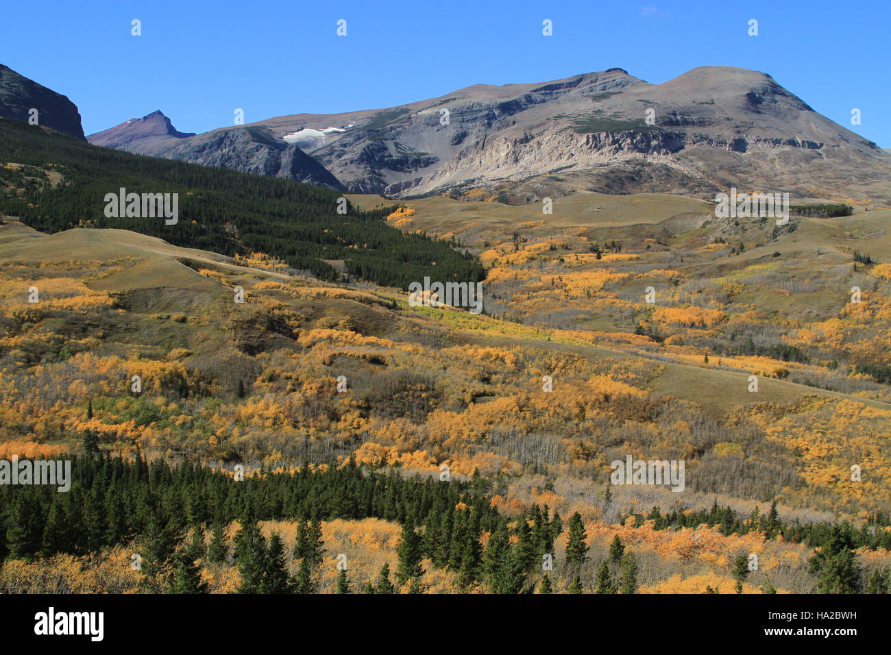 Cette photographie capture une vue panoramique sur le parc national des glaciers, encadrée par la beauté naturelle du paysage environnant. L'image met en valeur les montagnes, les forêts et les vallées spectaculaires visibles depuis l'autoroute 49, mettant en valeur le terrain accidenté et les paysages à couper le souffle du parc. Banque D'Images