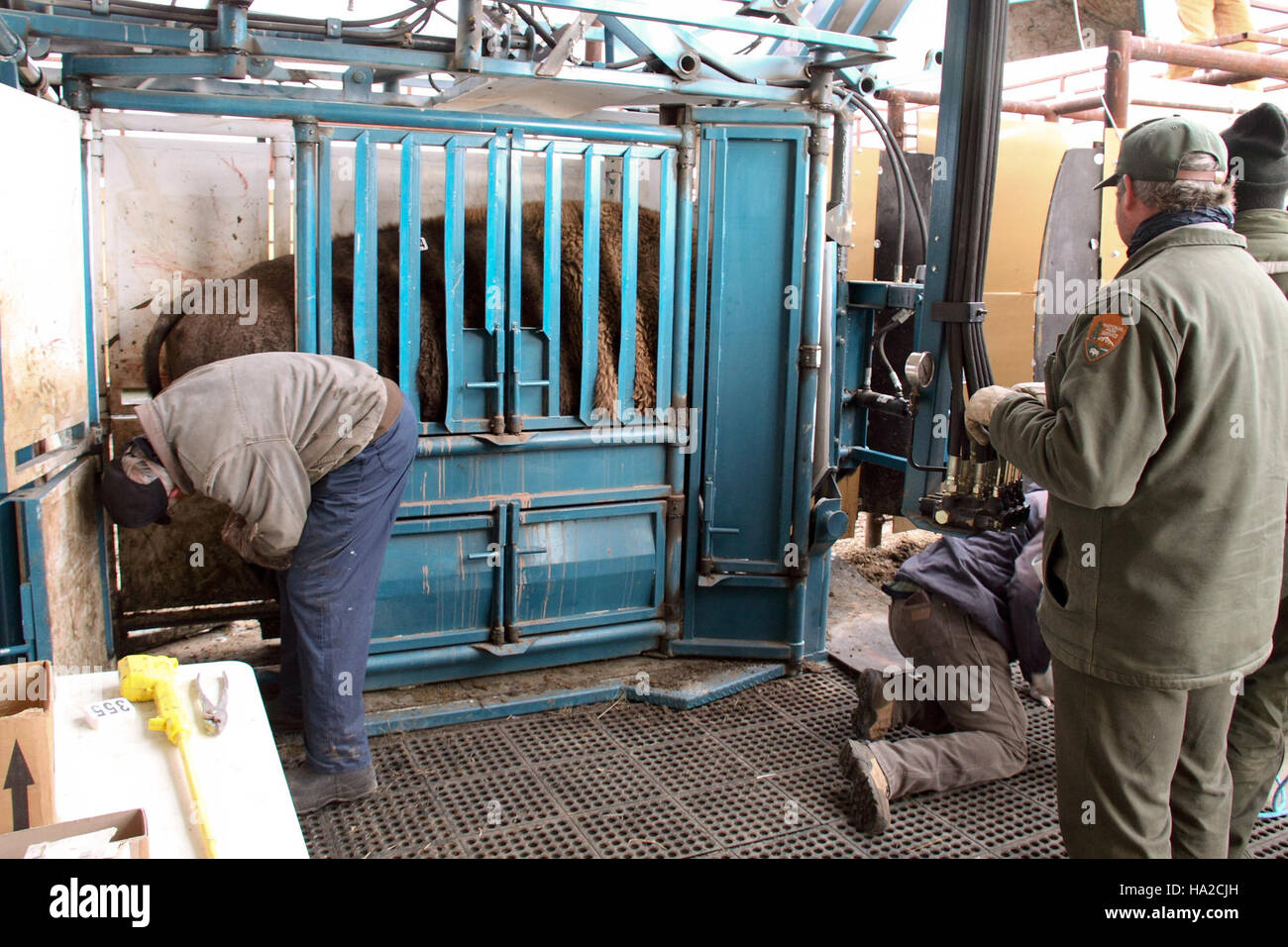 Une vue paysagère du parc national des Badlands, mettant en valeur ses formations géologiques uniques et son rôle dans la recherche scientifique et la politique environnementale. Banque D'Images
