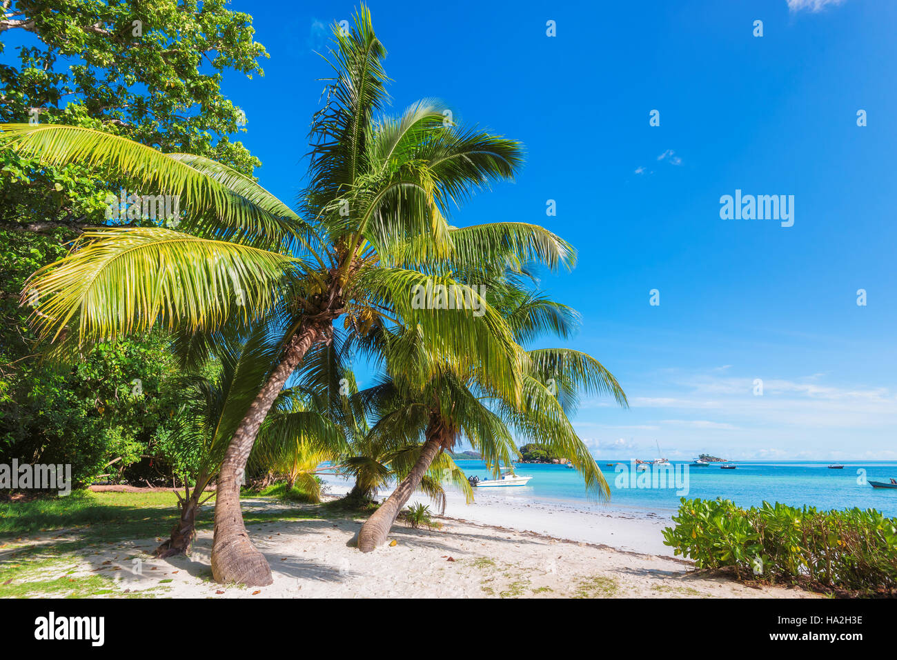 Île tropicale Banque D'Images