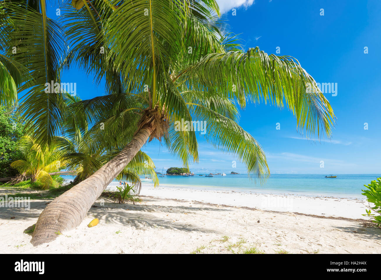 Belle plage tropicale Banque D'Images