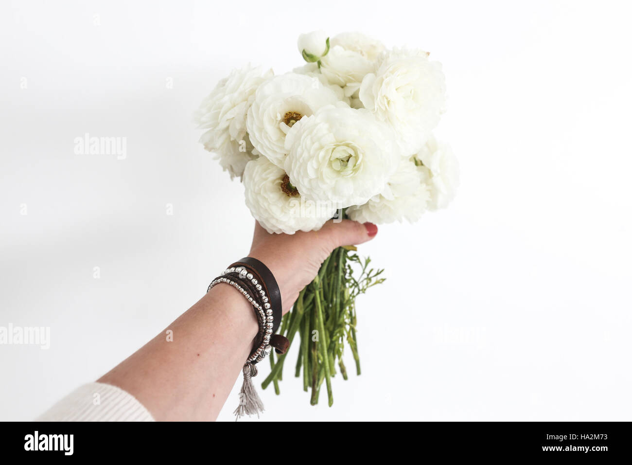 Woman's hand holding a bouquet de renoncules blanches fleurs Photo Stock -  Alamy