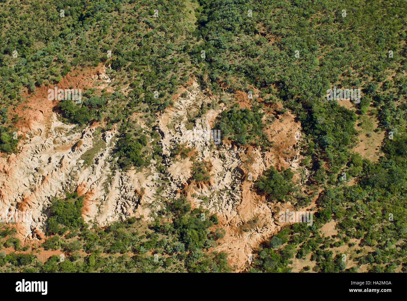 L'érosion causée par la déforestation (vue aérienne) Banque D'Images
