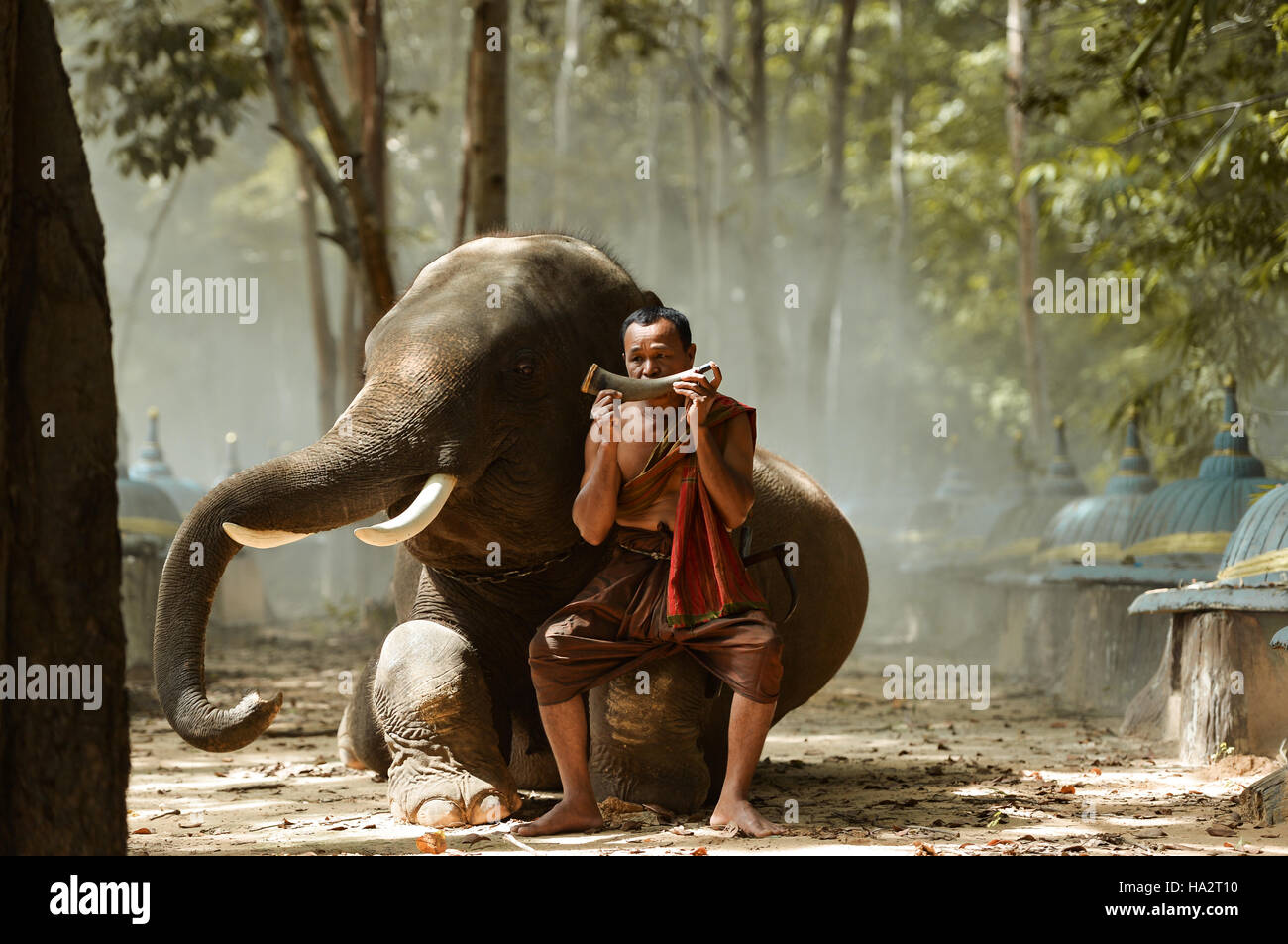 Monk jouer d'un instrument, assis sur un éléphant, Thaïlande Banque D'Images