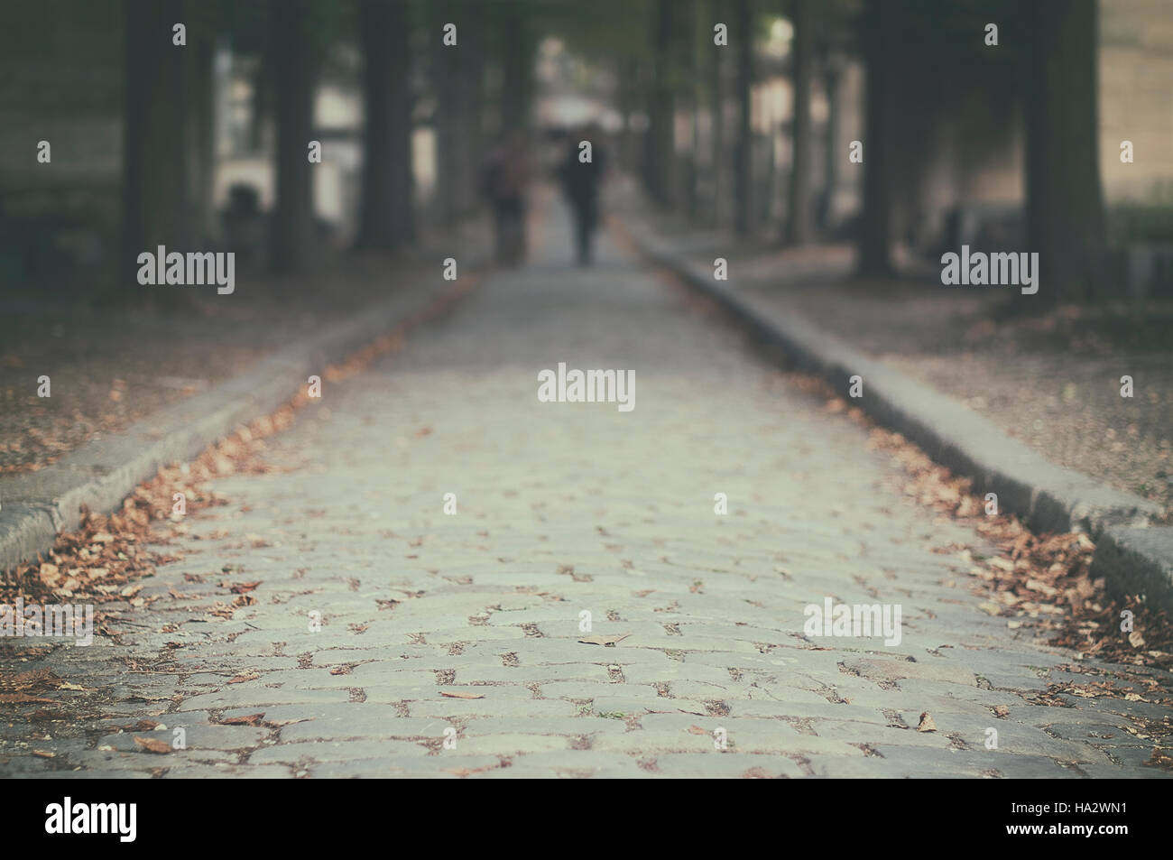 Silhouette de deux personnes marchant dans street, Paris, France Banque D'Images