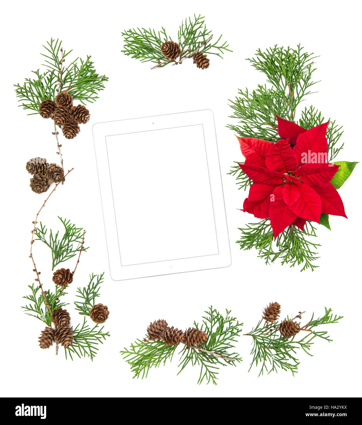 Télévision Floral background laïcs Mock up tablet pc. Fleur rouge de Noël et la décoration de pommes de pin Banque D'Images