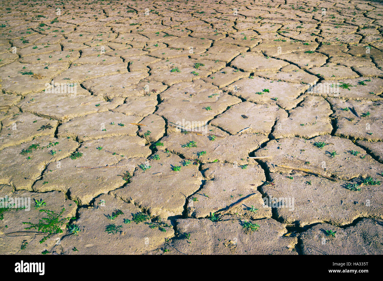 Zahara - El Gastor réservoir, la Province de Cádiz, Andalousie, Espagne du sud. Sol fissuré et séché lorsque l'approvisionnement en eau à faible niveau. Banque D'Images