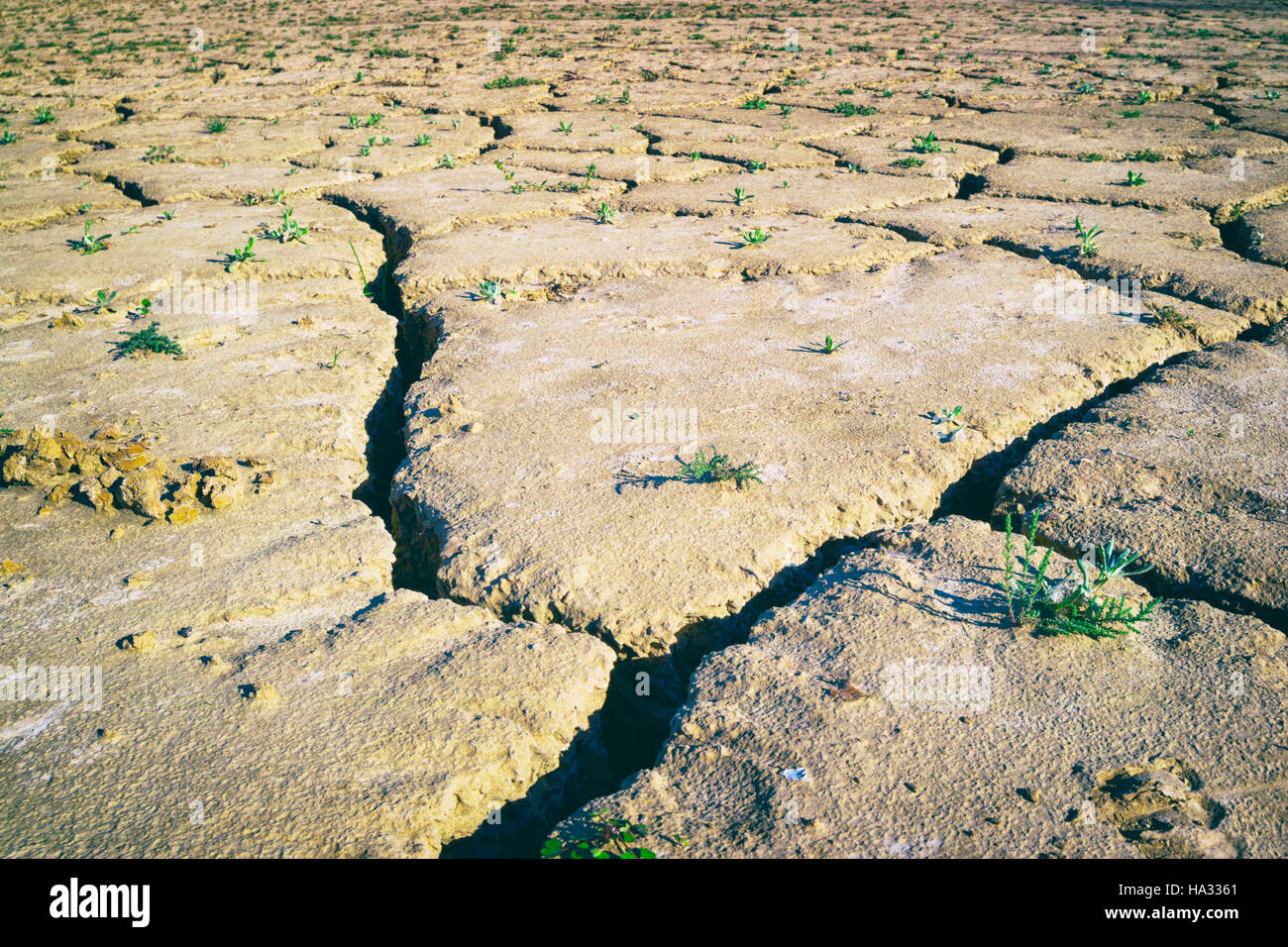 Zahara - El Gastor réservoir, la Province de Cádiz, Andalousie, Espagne du sud. Sol fissuré et séché lorsque l'approvisionnement en eau à faible niveau. Banque D'Images