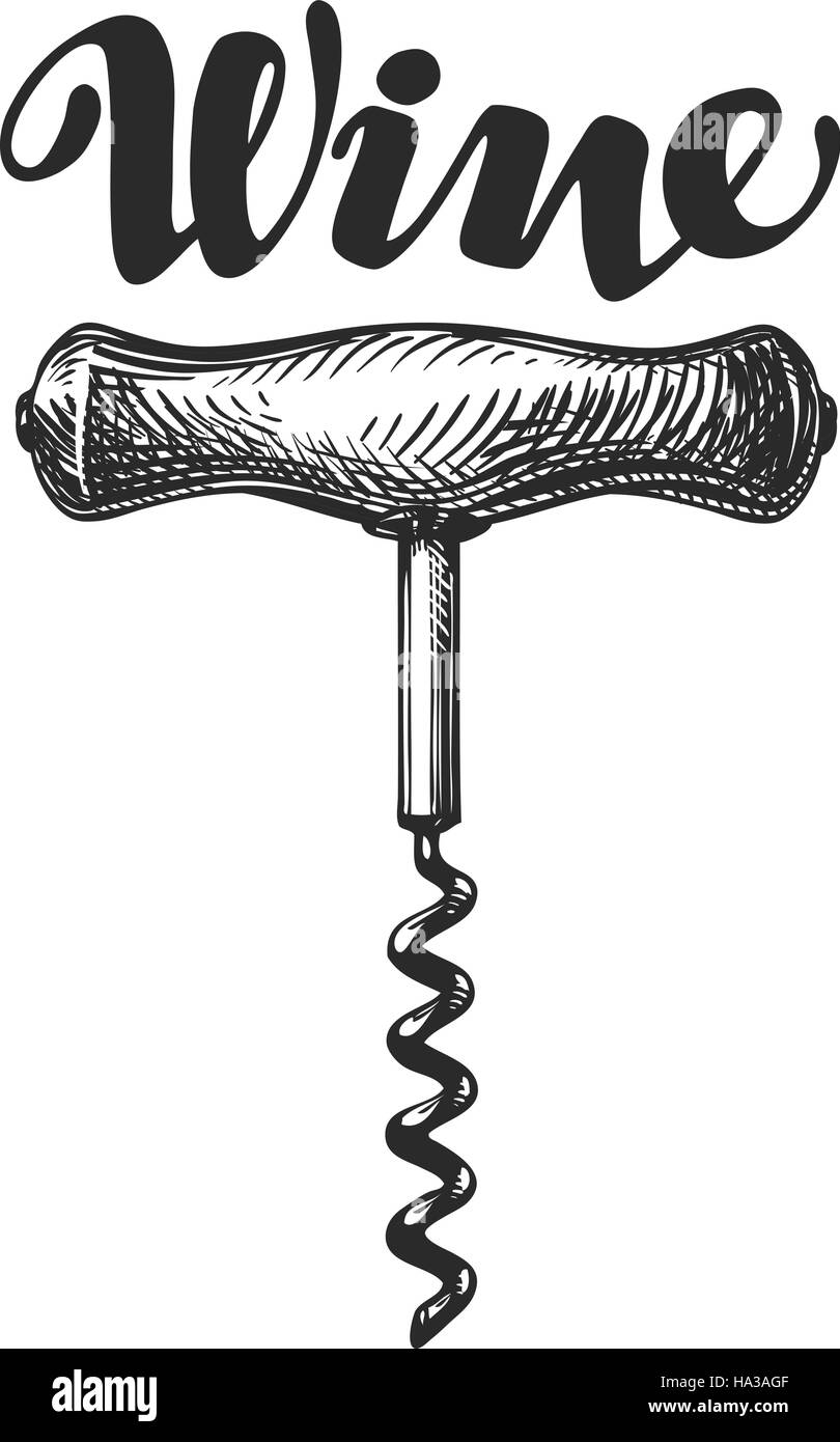 Tire-bouchon à vin croquis. Vector illustration Illustration de Vecteur