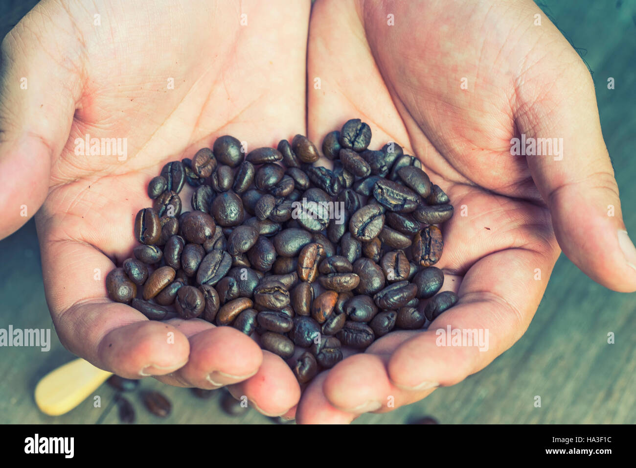 Abstract blur coffee bean a été sélectionné sur la main avec filtre vintage - peut utiliser pour afficher ou un montage sur produit Banque D'Images