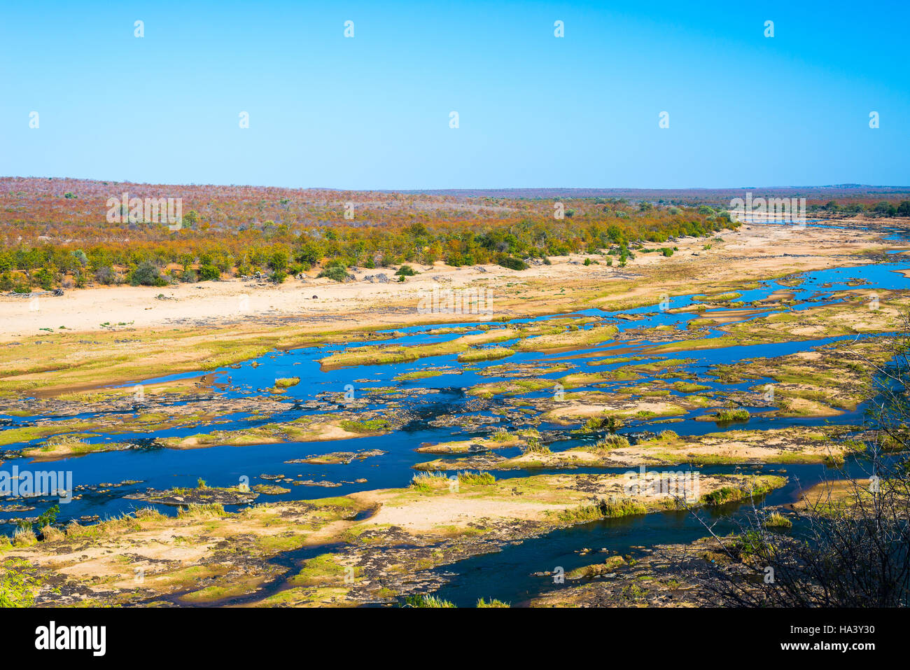 Olifants River, scenic et paysage coloré avec la faune dans le Parc National Kruger, célèbre destination de voyage en Afrique du Sud. Ciel bleu clair. Banque D'Images