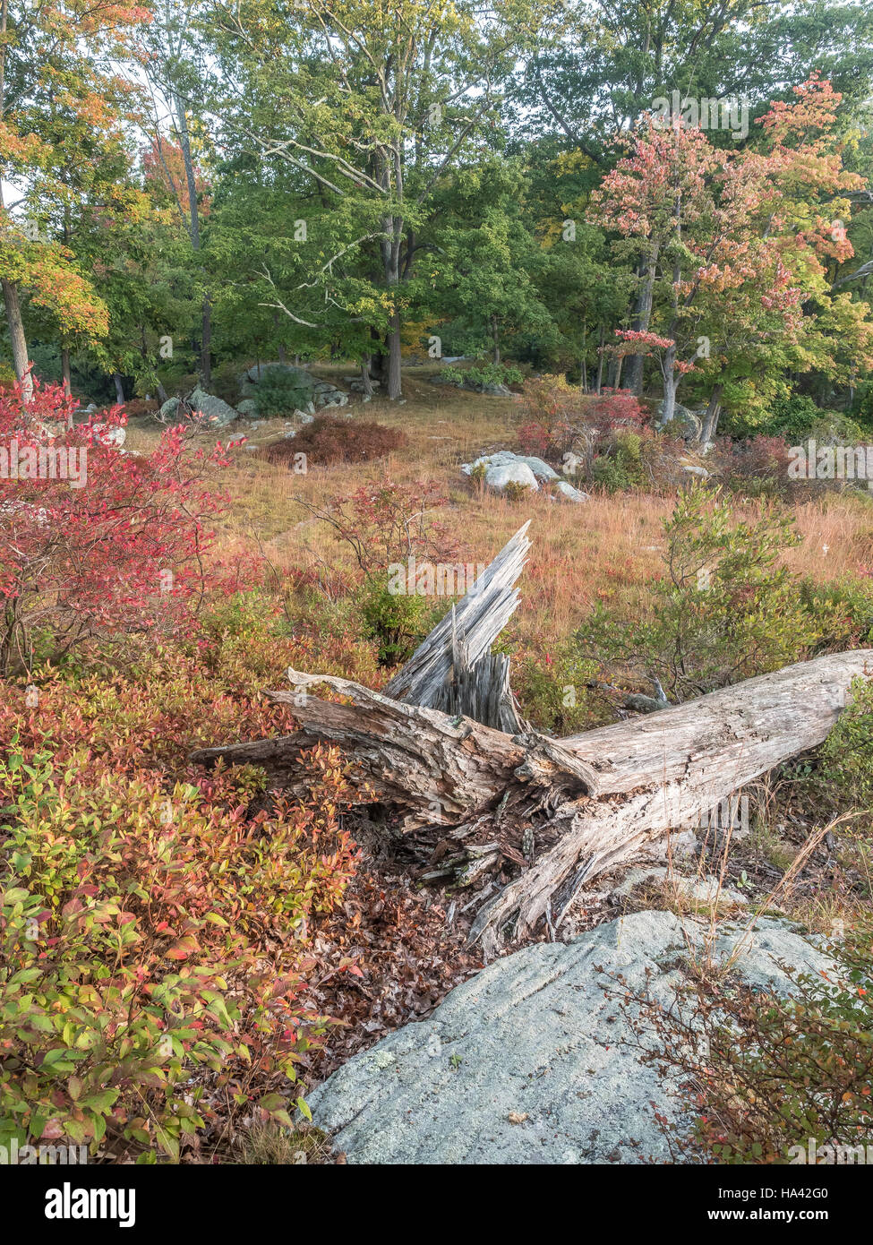 Parc d'État Harriman, l'État de New York, sur le lac tôt le matin en automne Banque D'Images