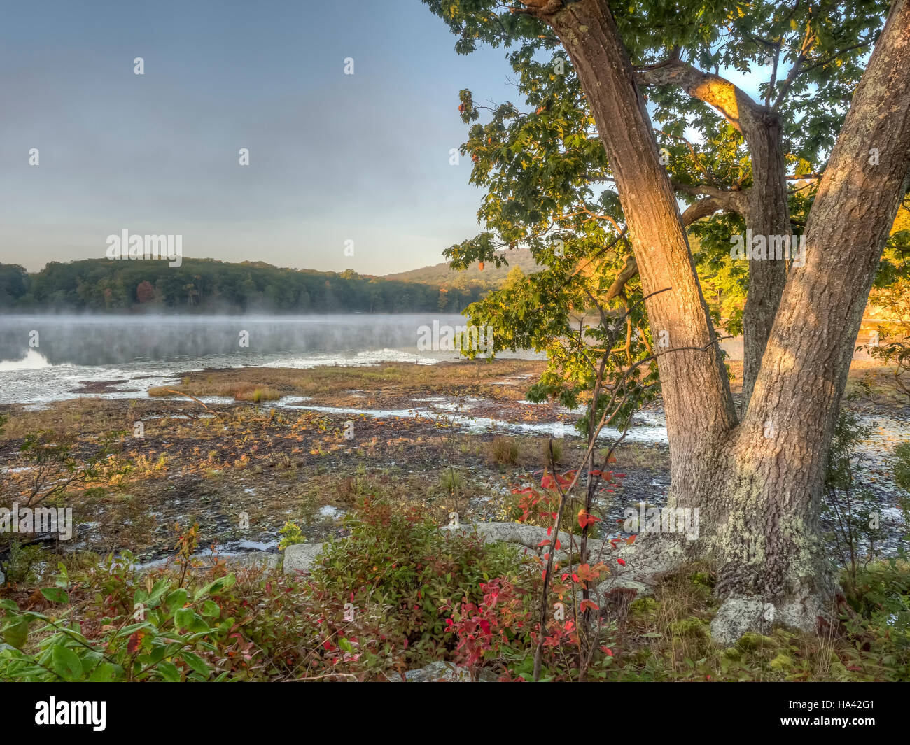 Parc d'État Harriman, l'État de New York, sur le lac tôt le matin en automne Banque D'Images