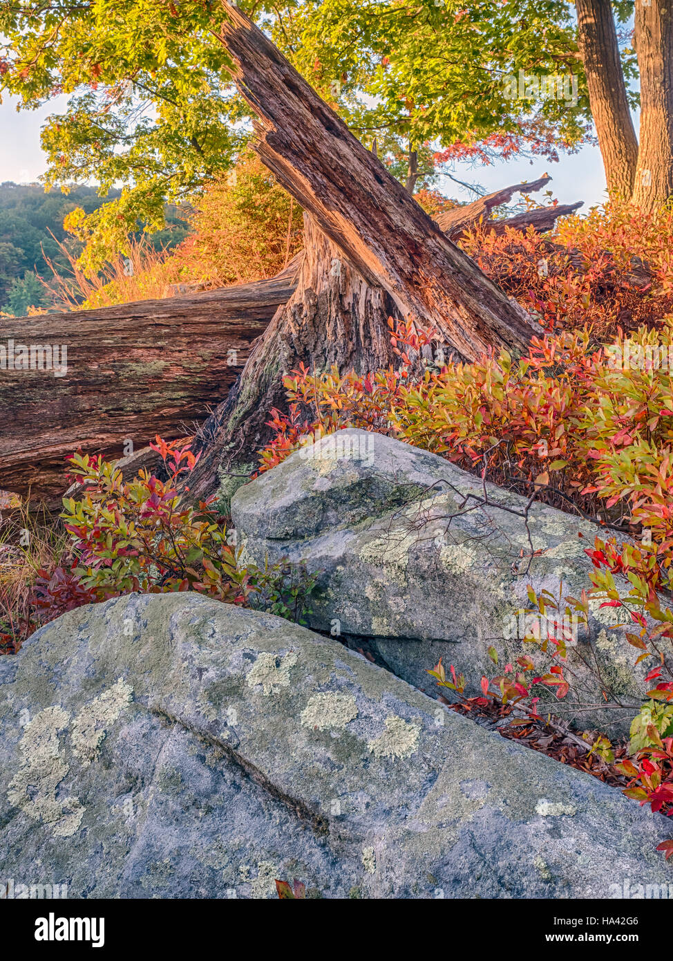 Parc d'État Harriman, l'État de New York, sur le lac tôt le matin en automne Banque D'Images